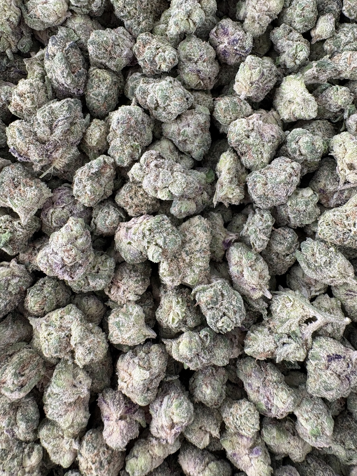 MINI POPPERS