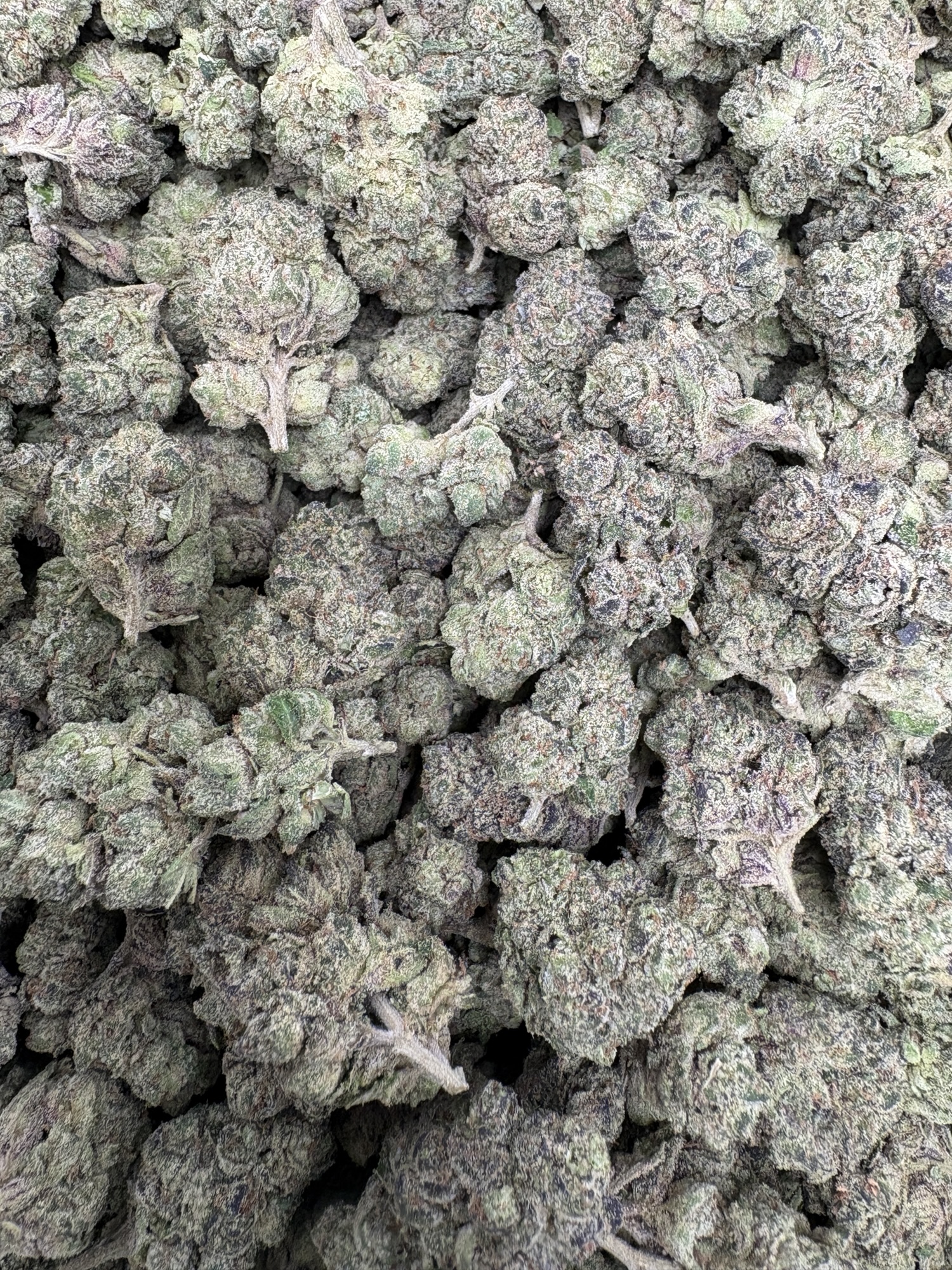 FROSTED FLAKES